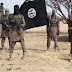 Nigeria's Boko Haram commander killed in air strike