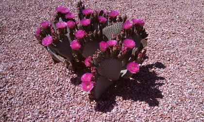 IMAG0556