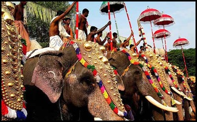 Thrissur Pooram Elephants