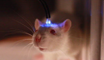 Optogenetics is a biological research method that combines optics and genetics in technologies to control (by eliciting or inhibiting) well-defined events in cells of living animal tissue.