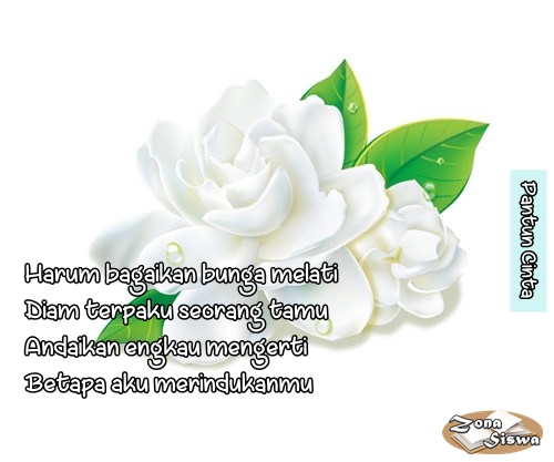 25 Contoh Pantun Cinta Romantis Pilihan