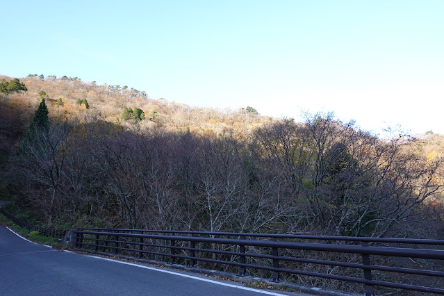 鳥取県西伯郡大山町 大山環状道路