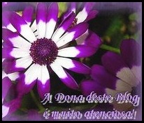 3_SELI~2