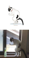 Artista gráfico transforma fotos de gatos en caricaturas divertidas