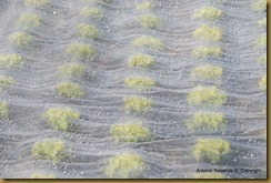 10-DSC_0977