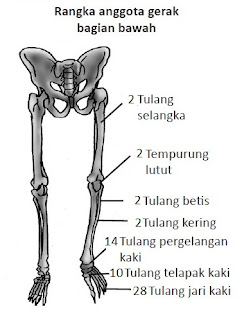 Contoh Catatan Kaki Dari Harian - Miharu Hime