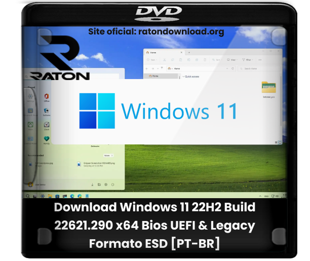 Raton Download - Desde 2007: Download Windows 11 Pro 22H2 22621.1105 Lite /  Superlite (Sem-TPM) (x64) Multi-Linguagem Pré-ativado