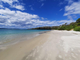 large sandy beach and clear blue water