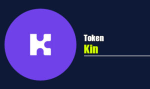 Kin, KIN coin