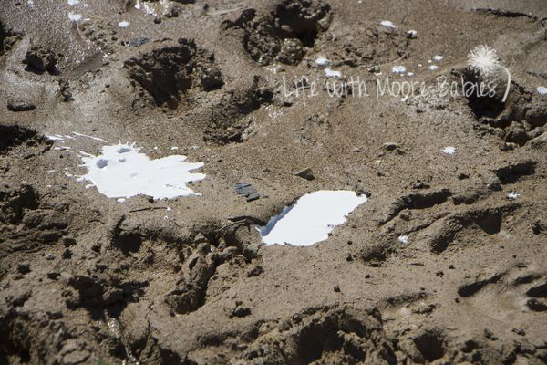 Plaster poured into the prints in the sand