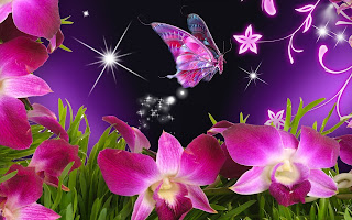 Wallpapers with Butterflies