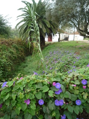P1060155