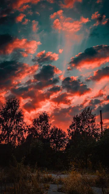 Tarde, Árvores, Pôr do Sol, Céu, Nuvens, Natureza