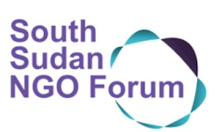 South Sudan NGO Forum Internship 2023