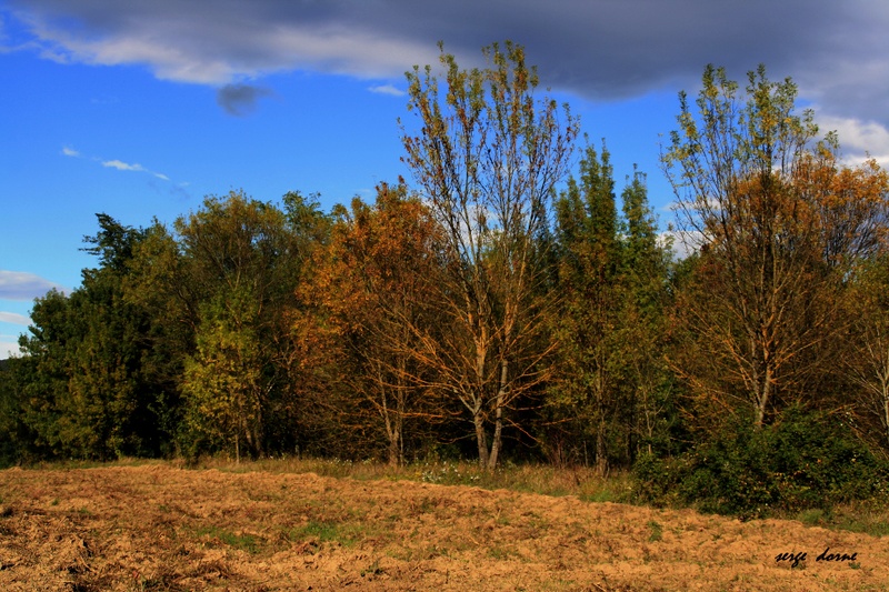 NATURE EN LIGNE ..... LE PHOTOBLOG de SERGE