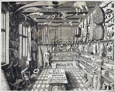 Cabinet of Curiosities, second half of the 17th C., Dommuseum du Salzburg, 