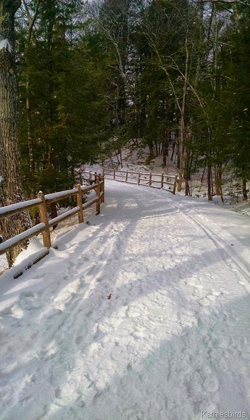 6. around the bend 1-16-15