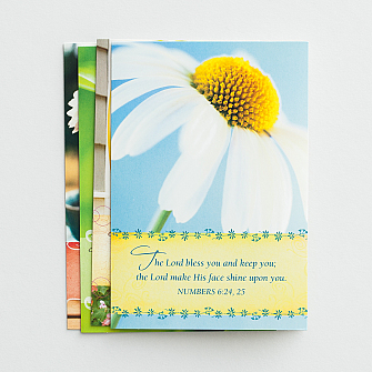 DaySpring Boxed Encouragement Cards