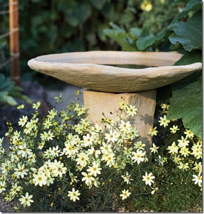 bird bath