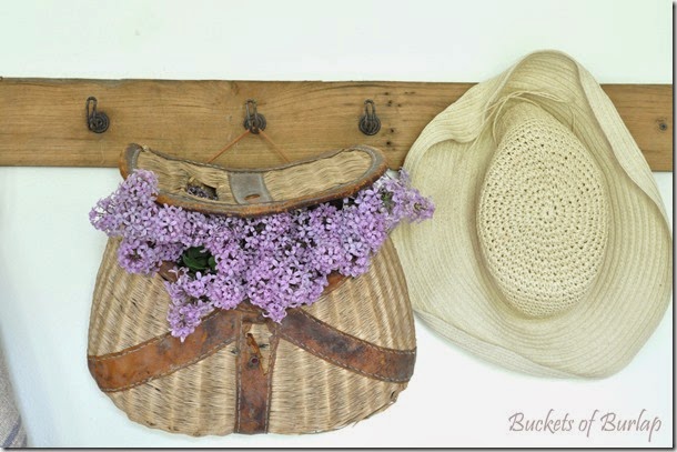 Lilacs 2