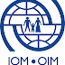 National Consultant at International Organization for Migration