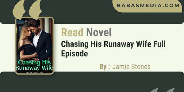Read Chasing His Runaway Wife Novel By Jamie Stones / Synopsis