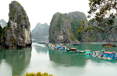 Vong Vieng Bai Tu Long