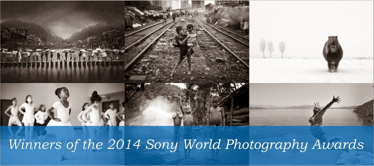 Sony World Photography Awards Winners