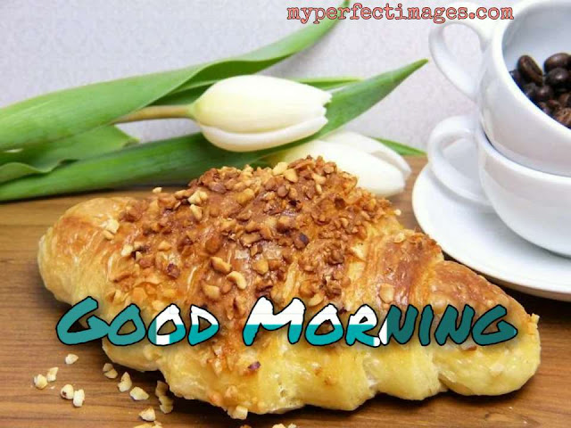 good morning wallpaper free download