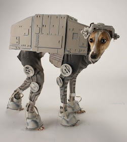 Dog in Star Wars AT-AT walker