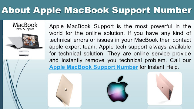 Apple Support Phone Number