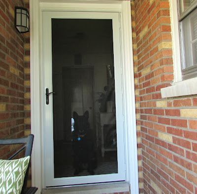 Front door DIY Replacement @ Rustic-refined.com