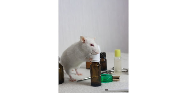Problem of Rat Poison Ingestion