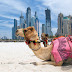 Discovering the Best Tourist Attractions in the United Arab Emirates