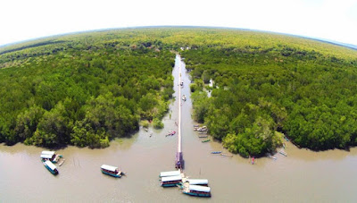 wisata alam mangrove bedul