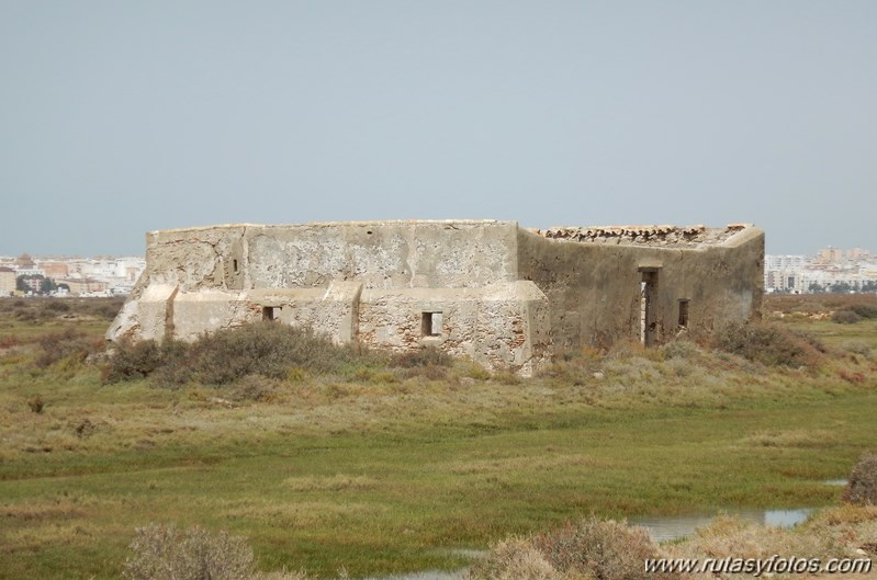 La Magdalena - Caño del Carrascón - Gallineras - Caño de Sancti Petri