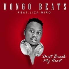 (Afro House) Don’t Break My Heart (feat. Liza Miro) (2019)