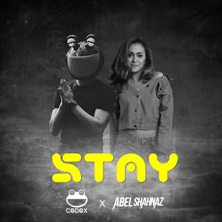 MP3 download Codox - Stay (feat. Abel Shahnaz) - Single iTunes plus aac m4a mp3