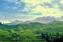 Taman Riung Gunung - Tempat Wisata Di Puncak Bogor