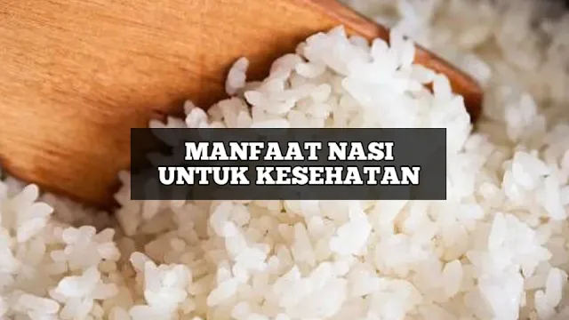 Manfaat Nasi Untuk Kesehatan