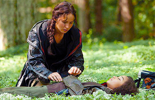 The Hunger Games Movie Review