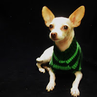 Green striped dog sweater