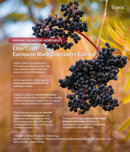 ELDERCRAFT European Black Elderberry Extract contains anthocyanidins content to prevent cold and flu episodes. To fight against human pathogenic bacteria and influenza viruses