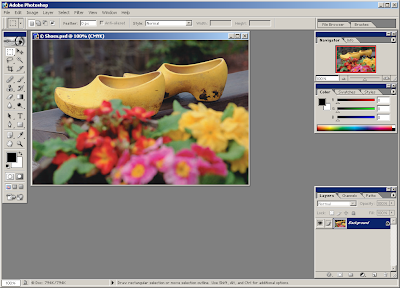 Adobe Photoshop 7.0 Screenshot Adobe Photoshop 7.0 Free