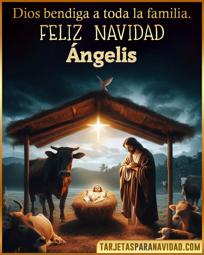 Feliz Navidad Angelis