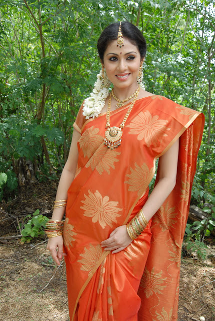 Telugu Actress Sana Hot Orange Saree
