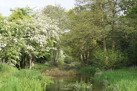 The Norfolk countryside in spring