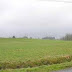 Near Nagav Beach 38115 Sqft Residential Land For Sale at (7.9 cr) Nagav Bandar Road, Mumbai, Maharashtra
