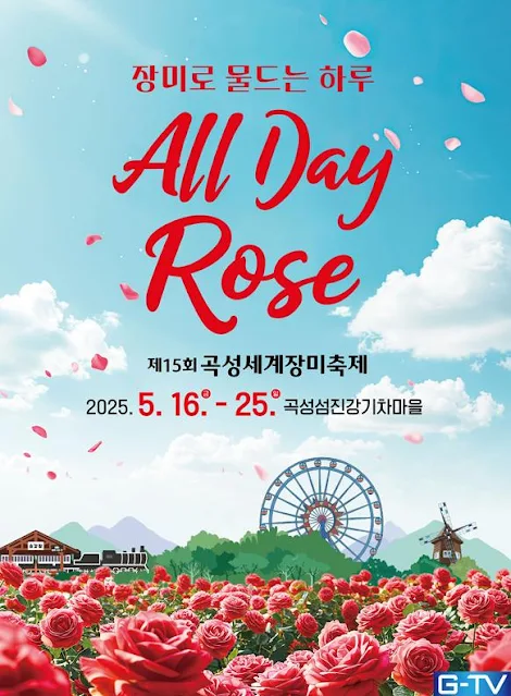곡성 장미축제 5월 개최. 1004종 장미 향연, 밤 10시까지 즐긴다.