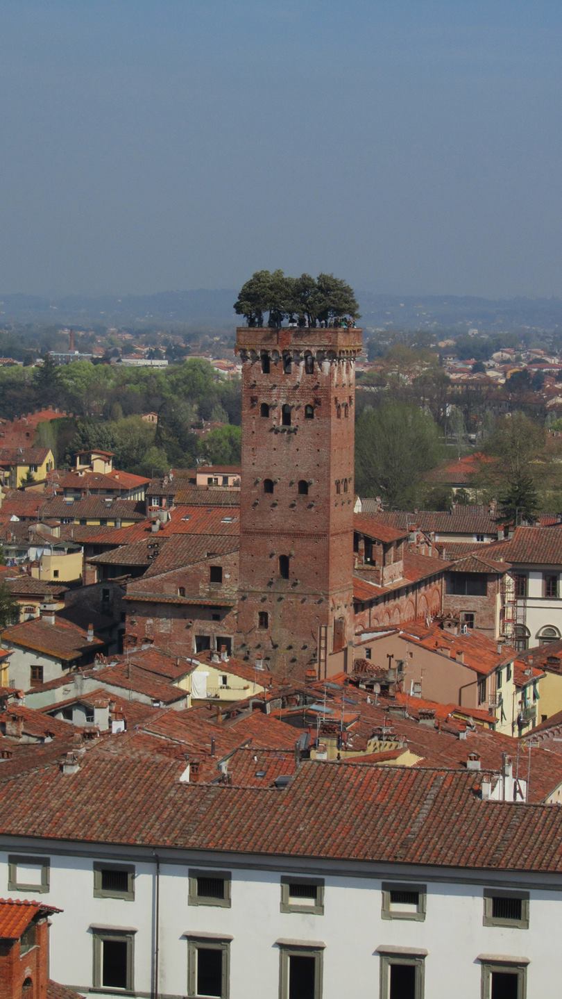 Guinigi Tower Crowned With Oak Trees